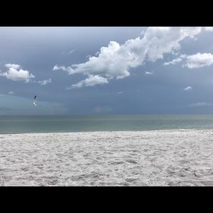 Meet your Posher, Rogers